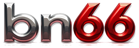bn66 logo